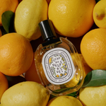 Diptyque L'Eau des Hespérides - Duftprobe